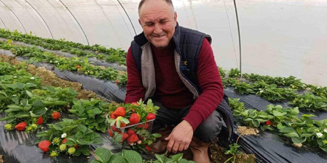 4 mevsim yetişiyor, Aralık ayında bile talep patlıyor! Kilosu 200 TL: İsteyen pazardan isteyen tarladan alıyor 1